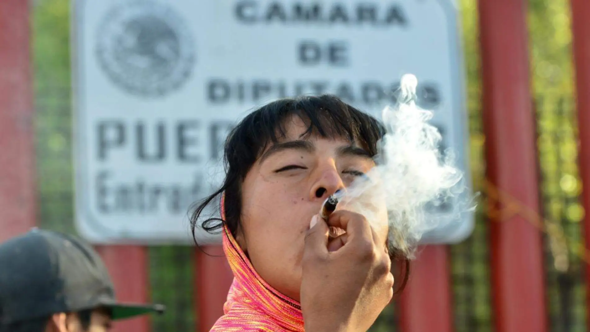 mariguana marihuanas consumo camara de diputados lovera (3)